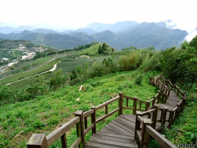 2012-8-26-27天秤二度來襲前(阿里山茶鄉之旅)