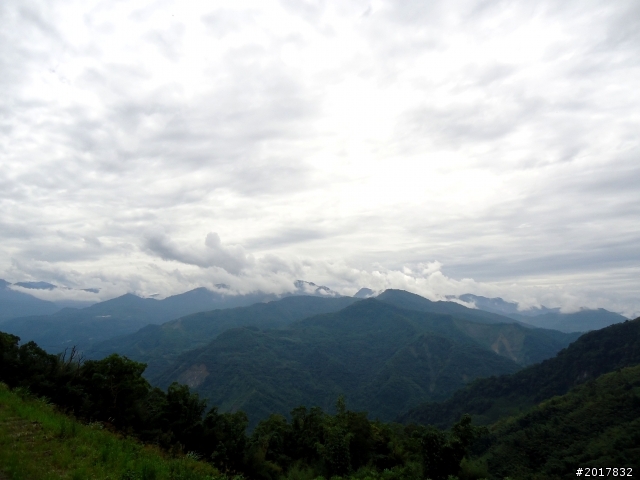 2012-8-26-27天秤二度來襲前(阿里山茶鄉之旅)
