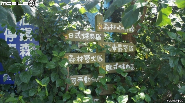 溫馨家庭日 新車相伴的皇后鎮森林半日遊