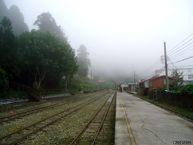 2012-8-26-27天秤二度來襲前(阿里山茶鄉之旅)