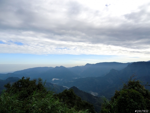 2012-8-26-27天秤二度來襲前(阿里山茶鄉之旅)