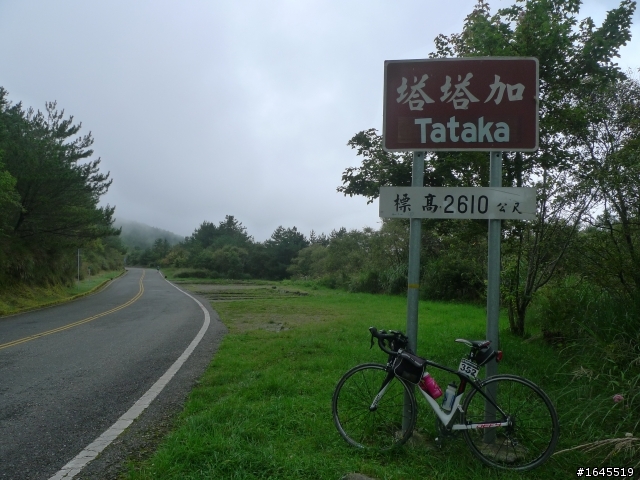 55歲歐巴桑超越巔峰