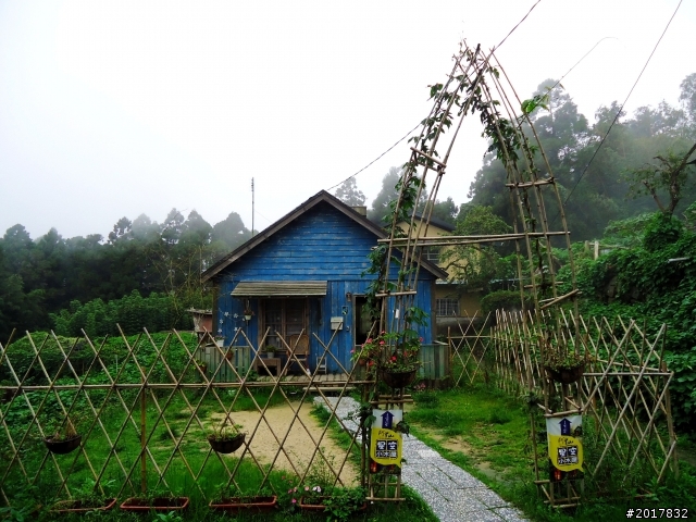 2012-8-26-27天秤二度來襲前(阿里山茶鄉之旅)