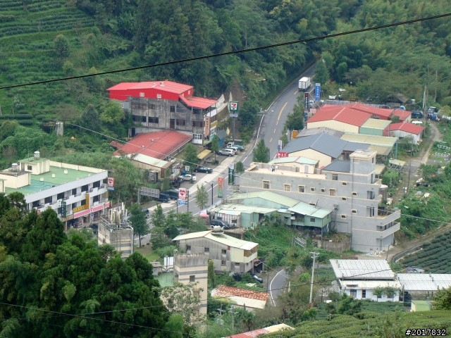 2012-8-26-27天秤二度來襲前(阿里山茶鄉之旅)
