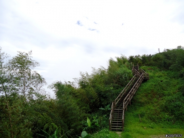 2012-8-26-27天秤二度來襲前(阿里山茶鄉之旅)