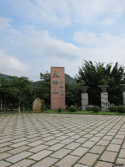 分享 東莞大嶺山騎行路線