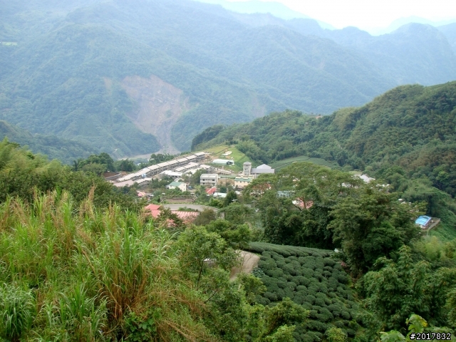 2012-8-26-27天秤二度來襲前(阿里山茶鄉之旅)
