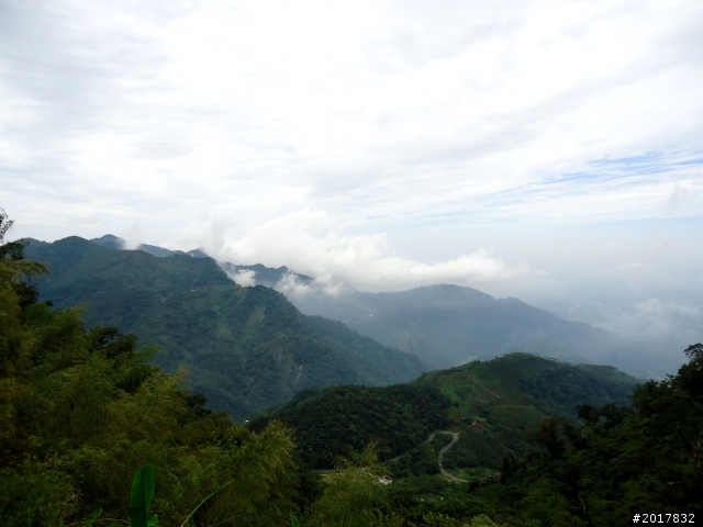 2012-8-26-27天秤二度來襲前(阿里山茶鄉之旅)