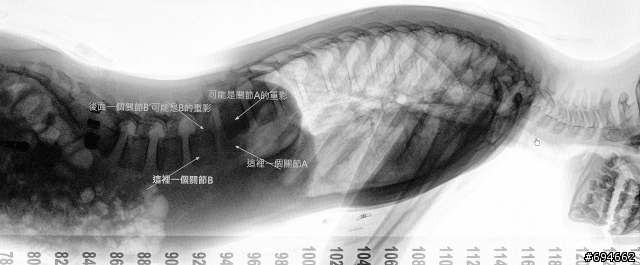 已解決,謝謝大家關心