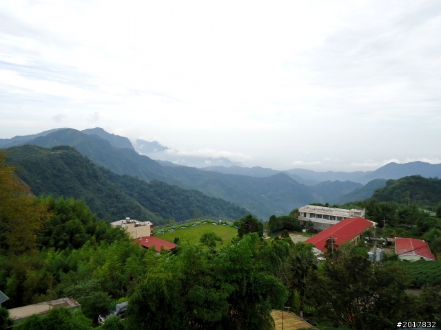 2012-8-26-27天秤二度來襲前(阿里山茶鄉之旅)