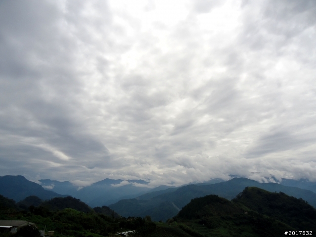 2012-8-26-27天秤二度來襲前(阿里山茶鄉之旅)