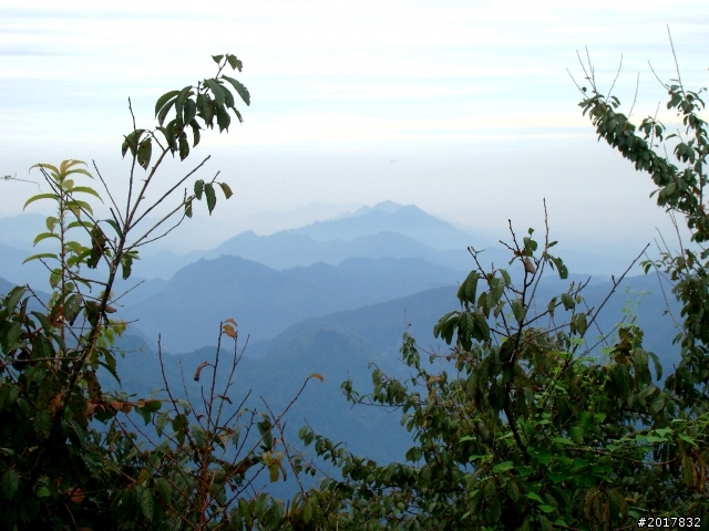 2012-8-26-27天秤二度來襲前(阿里山茶鄉之旅)