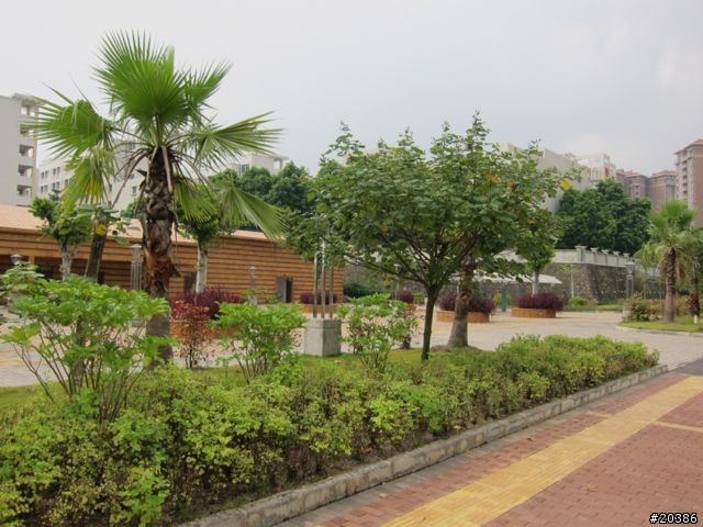 分享 東莞大嶺山騎行路線