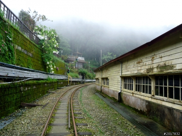 2012-8-26-27天秤二度來襲前(阿里山茶鄉之旅)