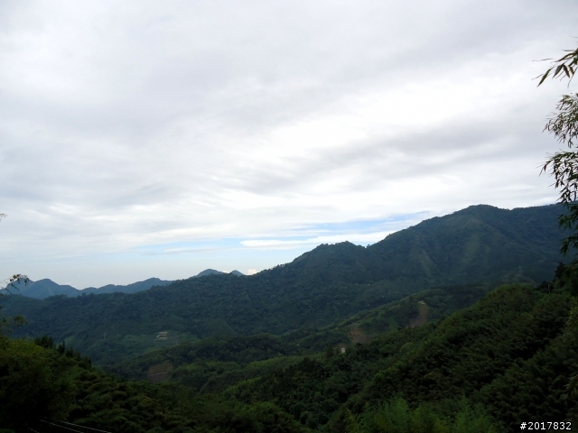 2012-8-26-27天秤二度來襲前(阿里山茶鄉之旅)