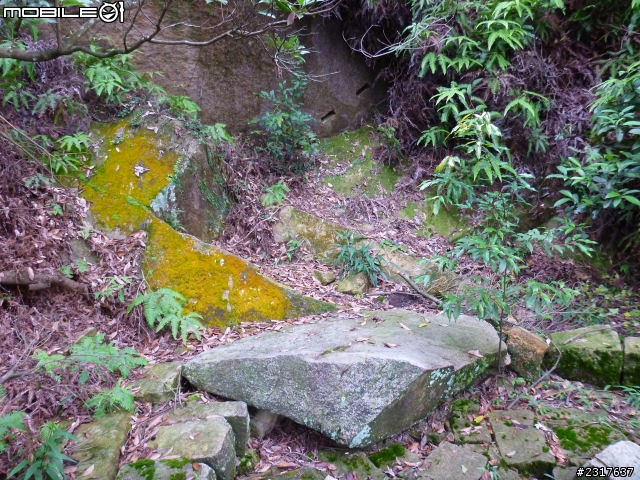 台北府城-三線路