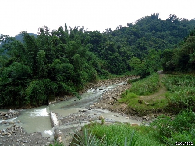 2012-8-26-27天秤二度來襲前(阿里山茶鄉之旅)