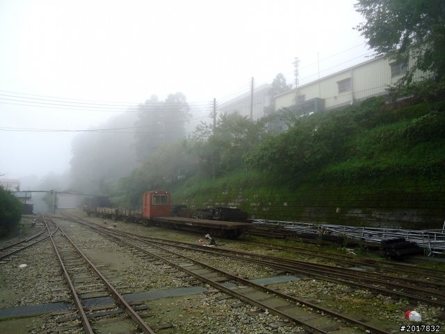 2012-8-26-27天秤二度來襲前(阿里山茶鄉之旅)