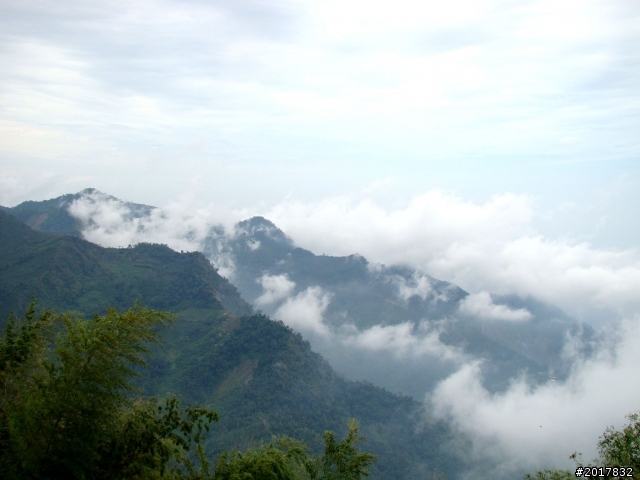2012-8-26-27天秤二度來襲前(阿里山茶鄉之旅)