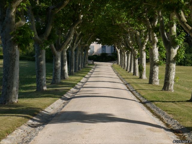 胖丈夫 - La Pauline 南法的夏天