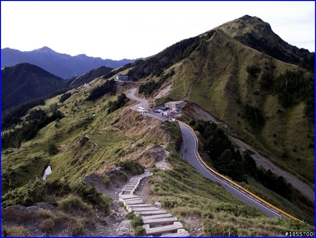 武嶺不約兒童(而同),賞日出 來一泡 ~ 茶