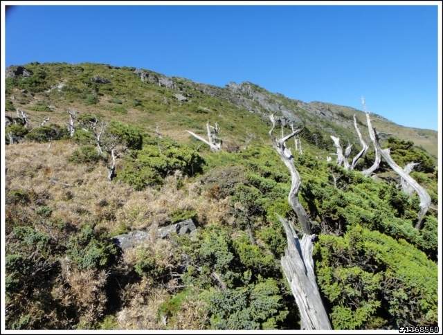 殘念嘉明湖(照片分享)