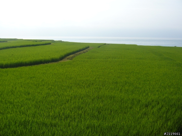 有省錢之南半島四日遊(四月底)