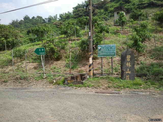 硬斗的大武山之門!