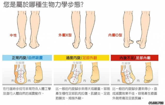 BROOKS GHOST GTX 越野跑鞋-- 防水大考驗
