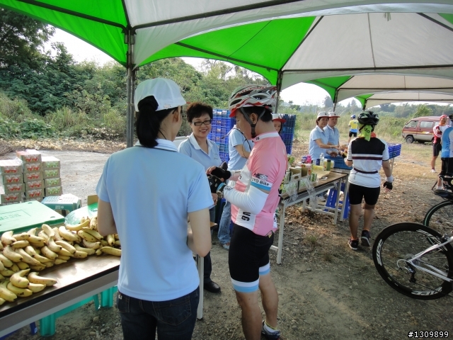 高CP值的豐原郵局101年單車悠郵行,
