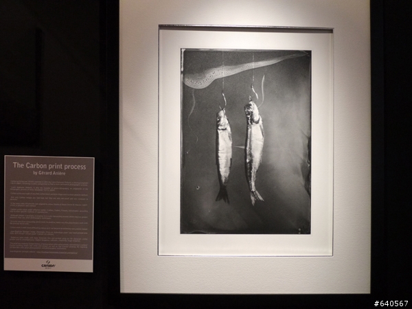 photokina 2012 回顧