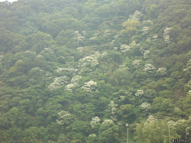 有省錢之南半島四日遊(四月底)