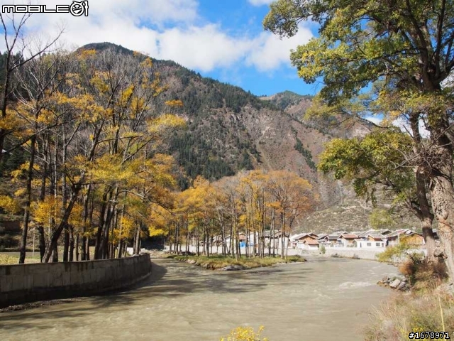 騎上小折去九寨