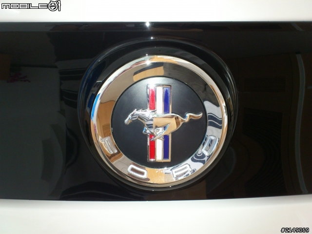 我與野馬的短暫邂遘