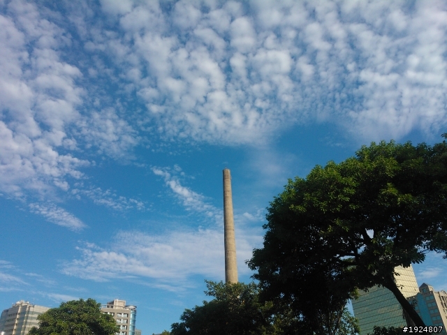 (LUMIA 800分享)天氣實在太好嚕,曬曬陽光分享好心情耶!