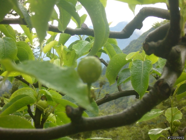 有省錢之南半島四日遊(四月底)
