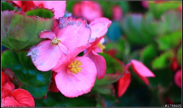 Canon EOS M 簡易開箱~(補圖)