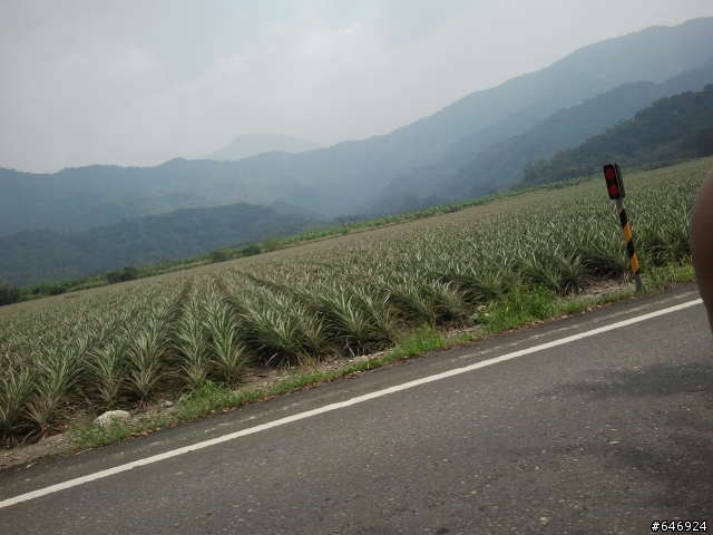 硬斗的大武山之門!