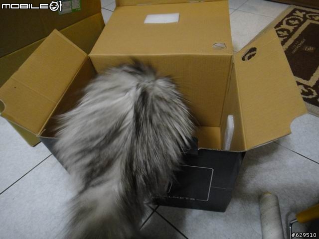 兩個願望~一次滿足!! AGV Horizon Absolute Italia~