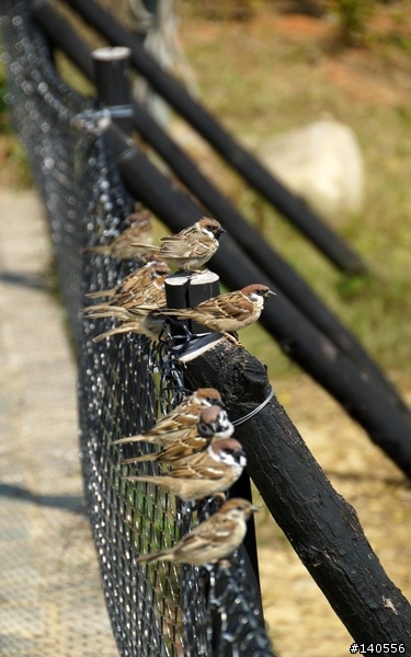 遊記「八德埤塘生態公園」...