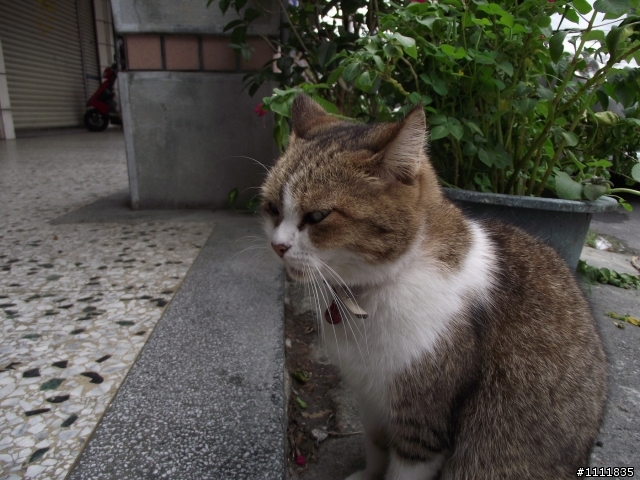2012.10.06-10.五天四夜.環島露營.溫泉之旅