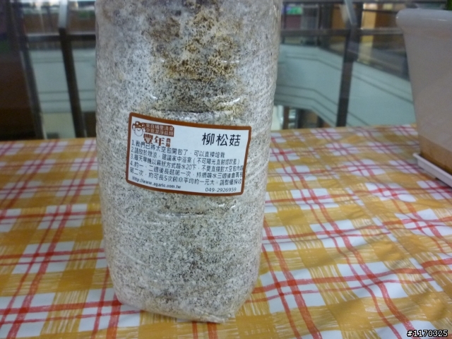 養個菇而已~~(11/29)