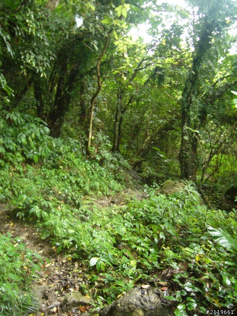 有省錢之南半島四日遊(四月底)