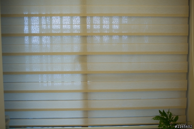 My sweet home~~