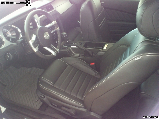 我與野馬的短暫邂遘