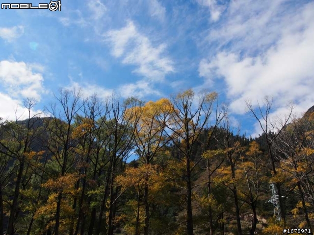 騎上小折去九寨