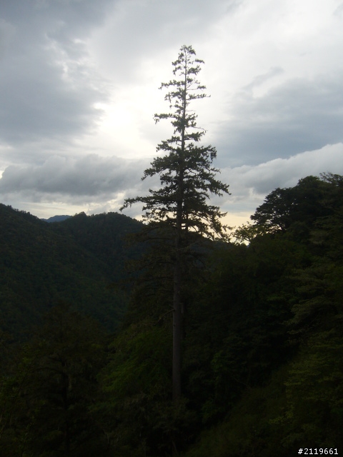 有省錢之南半島四日遊(四月底)