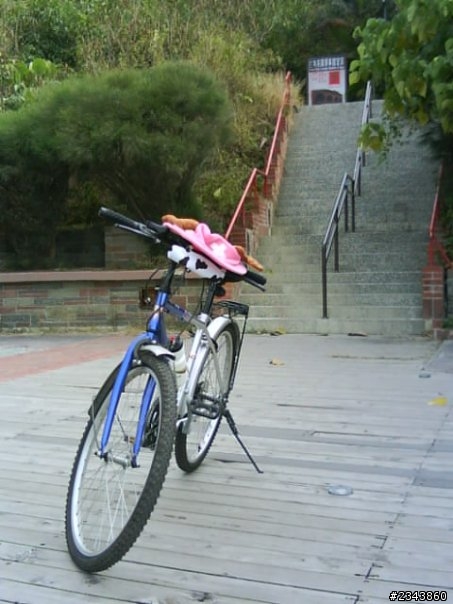終於買了公路車囉~