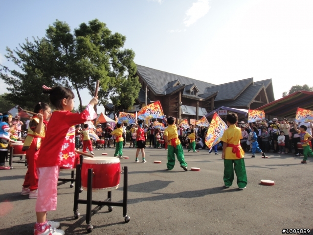 「鯉躍龍門、祈求成功」2012國姓搶成功