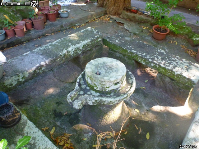 故宮邊(擇善小環線)